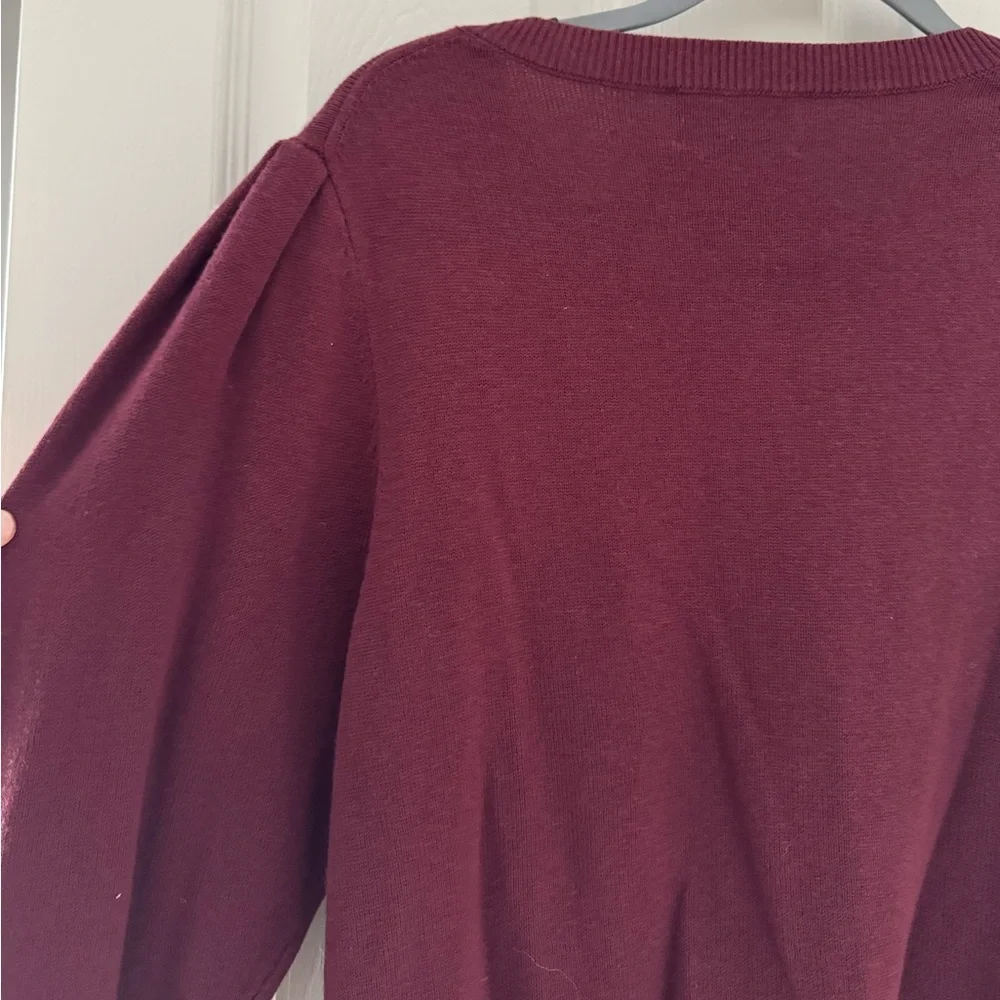 Aritzia Wilfred Moonrise Cardigan Spiced Burgundy Size Large NWOT - Picture 6 of 10